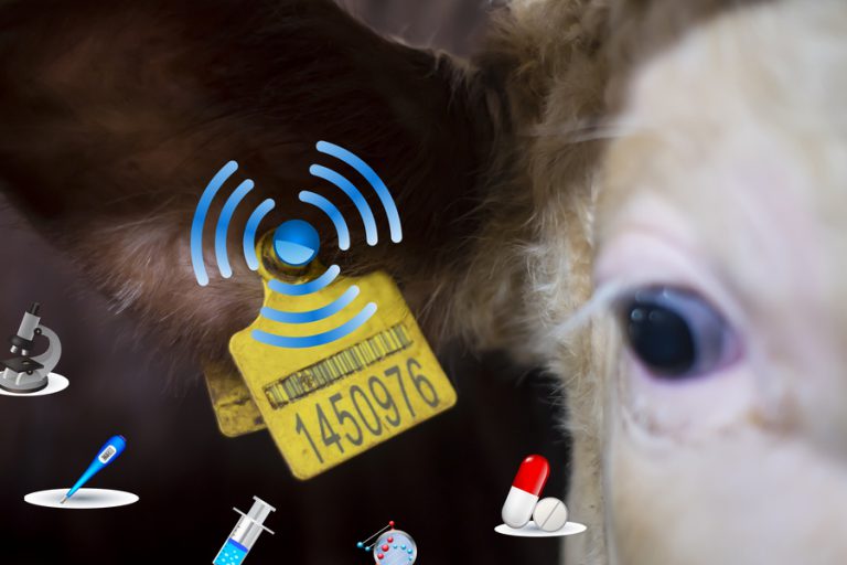 Producent oormerken ‘loeiend’ enthousiast over SAP variantconfiguratie